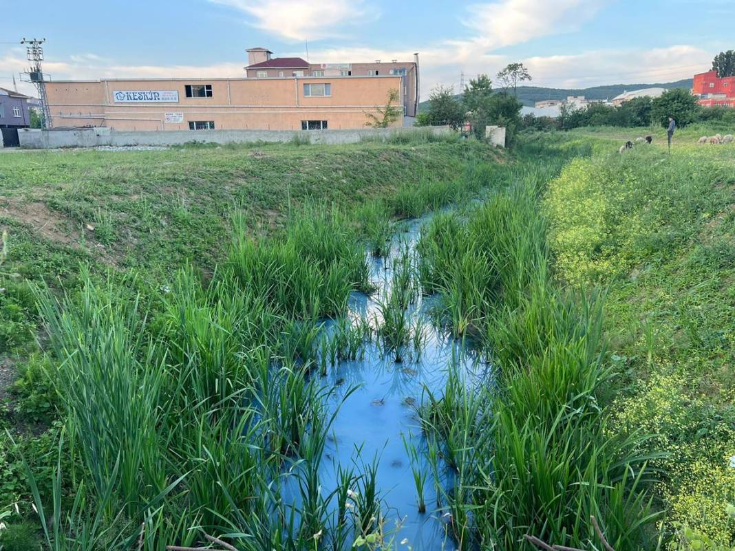 İstanbul'un o mahallesinde büyük panik! Korkunç manzarayı gören istifra etmeye başladı! 6